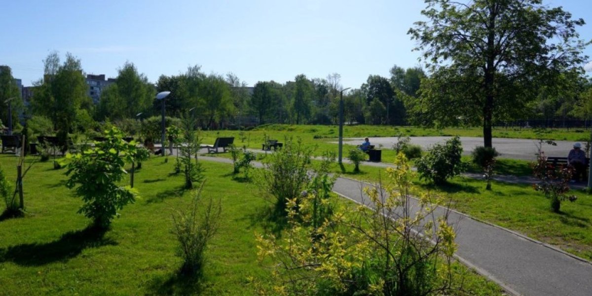 Аномальная жара в Подмосковье: Пик 10–12 июля, похолодание только после 16 числа Аномальная жара в Подмосковье: Пик 10–12 июля, похолодание только после 16 числа