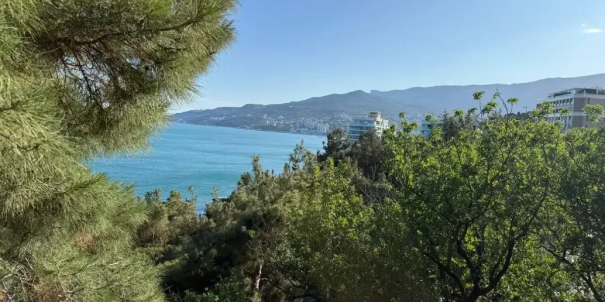 Балтийский секрет: Калининградская область стала главным курортным открытием лета-2025 Балтийский секрет: Калининградская область стала главным курортным открытием лета-2025