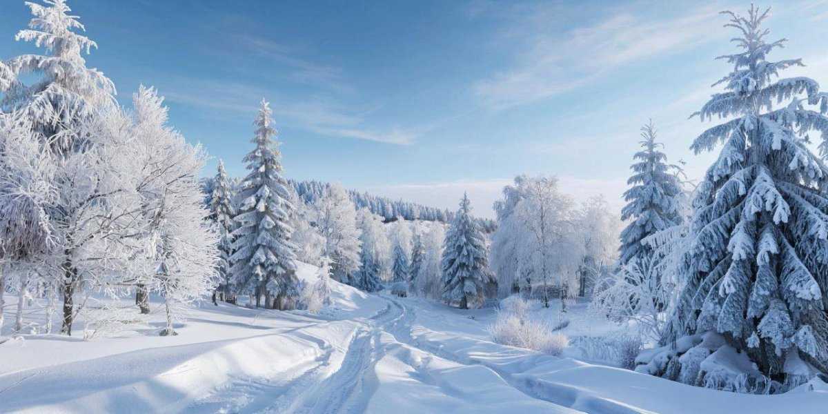 Зима 2025-2026 в России: Синоптики предупреждают о «испытании» аномалиями Зима 2025-2026 в России: Синоптики предупреждают о «испытании» аномалиями