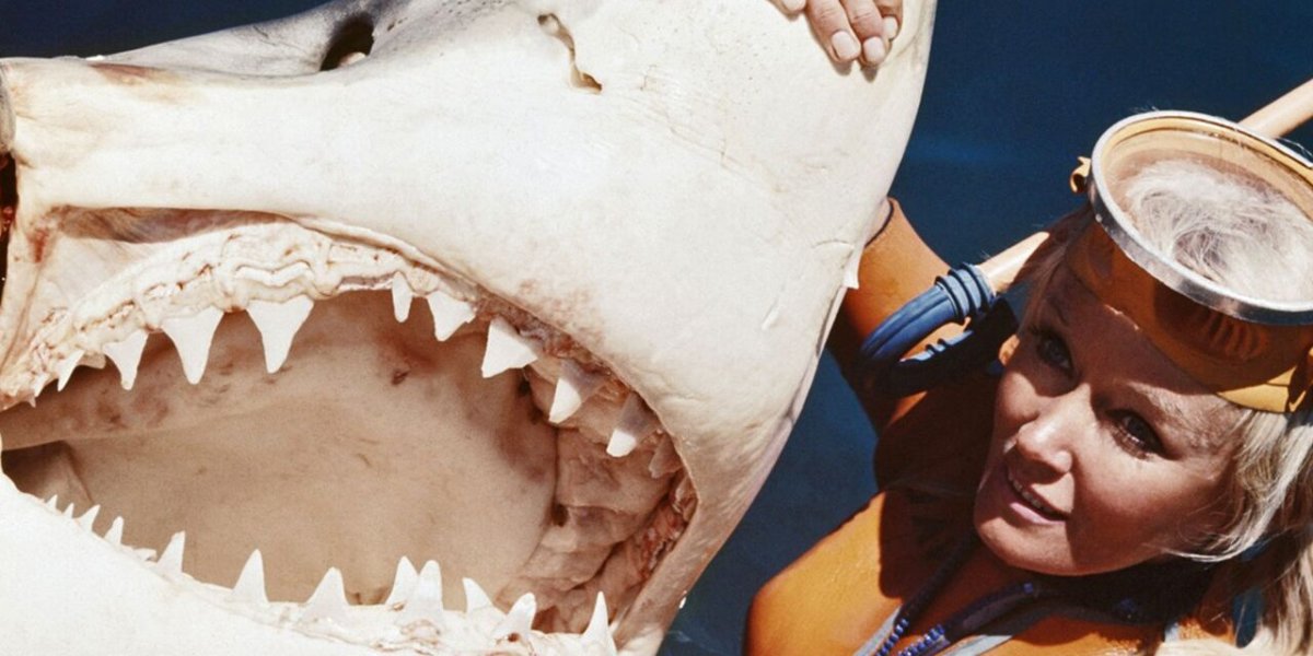 Семь часов среди акул: как один ужасный день навсегда изменил жизнь американки Семь часов среди акул: как один ужасный день навсегда изменил жизнь американки