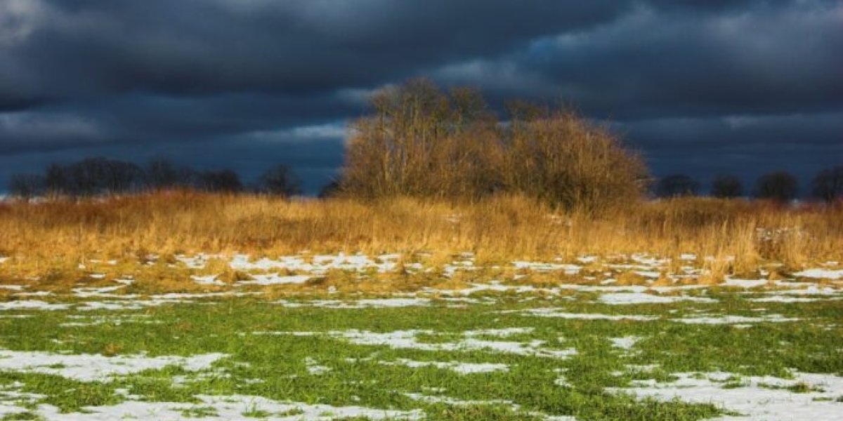 «Октябрь будет адовый»: синоптики предупредили о резком похолодании и непогоде по всей России «Октябрь будет адовый»: синоптики предупредили о резком похолодании и непогоде по всей России