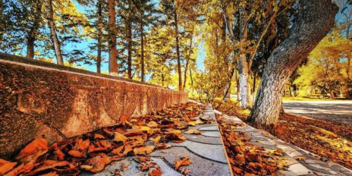 Осенние качели: как погода в Приморье балансирует между теплом и первыми заморозками Осенние качели: как погода в Приморье балансирует между теплом и первыми заморозками