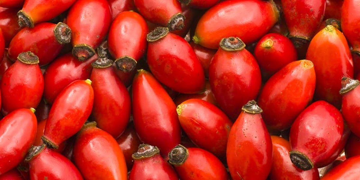 Шиповник: природный щит здоровья от диетолога Маргариты Копман Шиповник: природный щит здоровья от диетолога Маргариты Копман