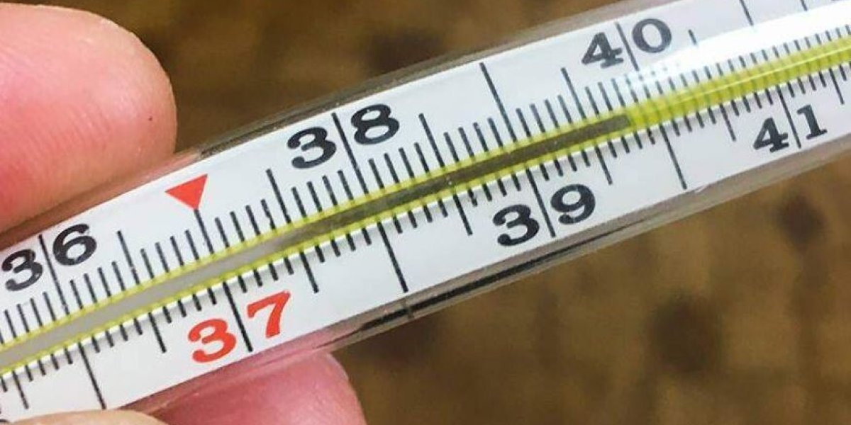 Минздрав развеял слухи о больничных при температуре: работа с 39 градусами не станет нормой Минздрав развеял слухи о больничных при температуре: работа с 39 градусами не станет нормой