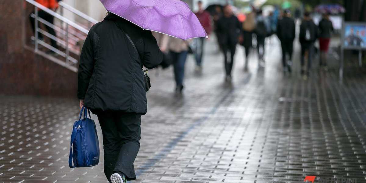Аномальные дожди в Москве: синоптики сообщили, когда установится сезонная погода Аномальные дожди в Москве: синоптики сообщили, когда установится сезонная погода