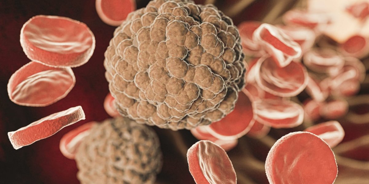 Прорыв в онкологии: ученые нашли способ лечить рак без вреда для здоровых клеток Прорыв в онкологии: ученые нашли способ лечить рак без вреда для здоровых клеток