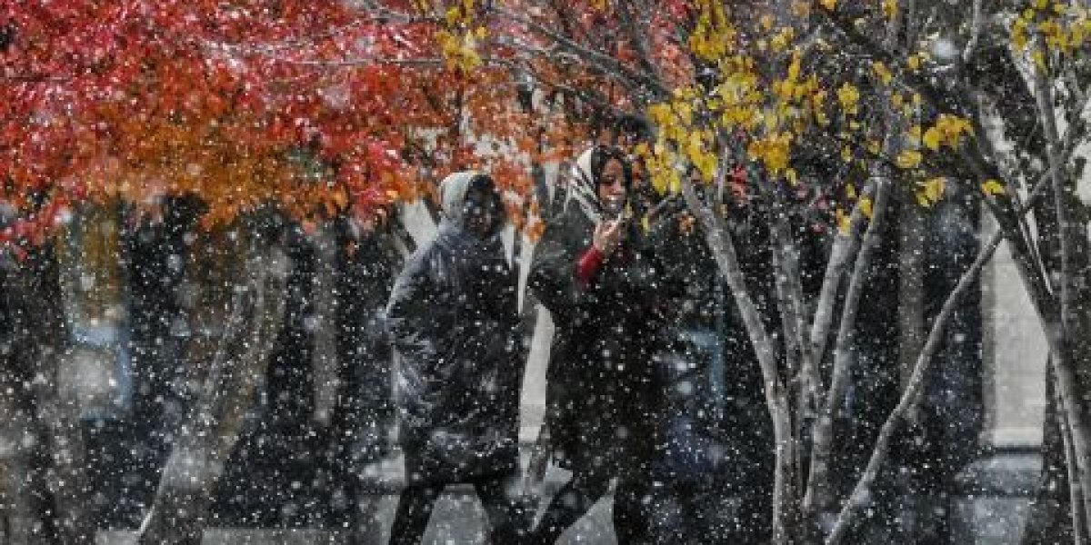 Метеовесна вместо сугробов: какой будет зима 2025-2026 в России Метеовесна вместо сугробов: какой будет зима 2025-2026 в России