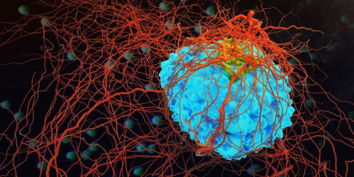 Тихие сигналы беды: пять малозаметных признаков онкологии, которые нельзя игнорировать Тихие сигналы беды: пять малозаметных признаков онкологии, которые нельзя игнорировать