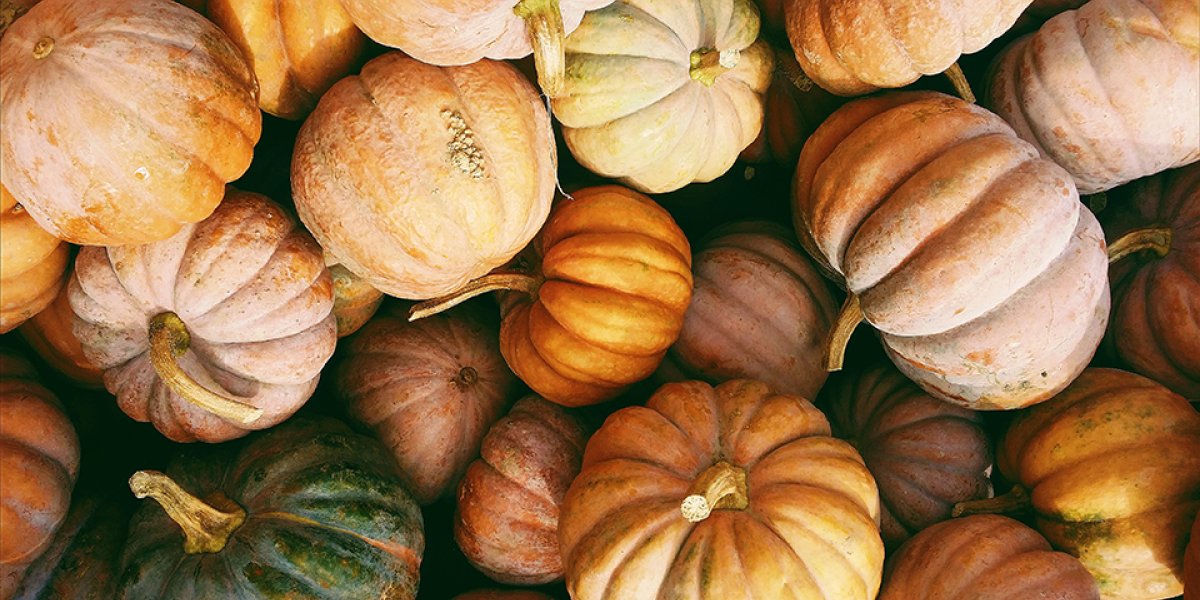 Тыква раскрывает новый потенциал в защите сердца и сосудов Тыква раскрывает новый потенциал в защите сердца и сосудов