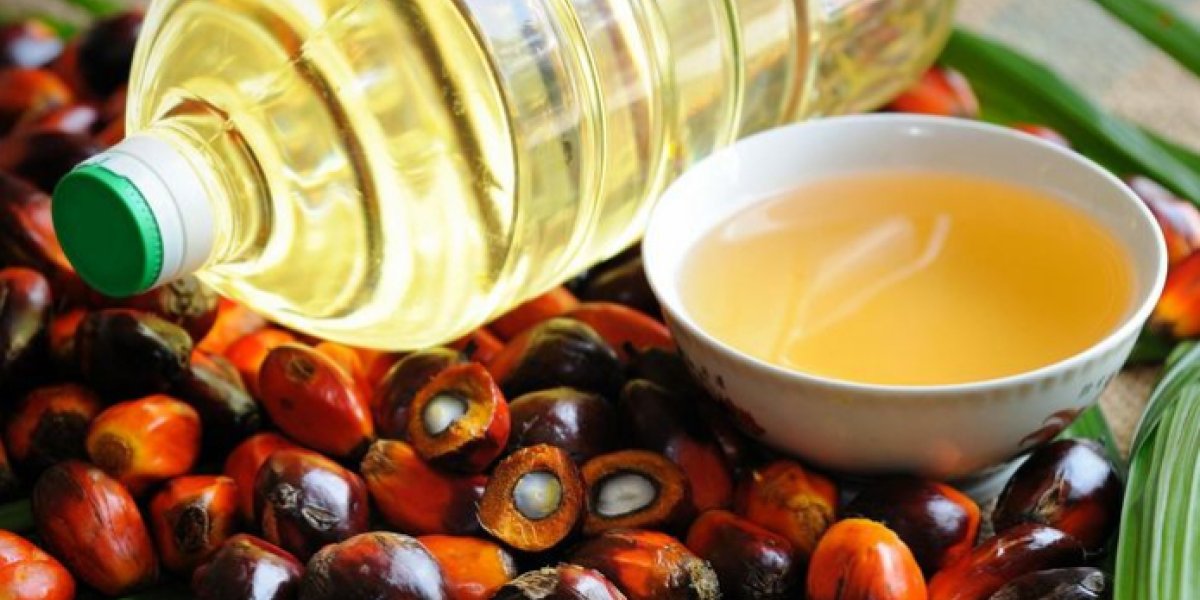 Пальмовое масло: эксперт развенчивает мифы о вреде и раскрывает пользу Пальмовое масло: эксперт развенчивает мифы о вреде и раскрывает пользу