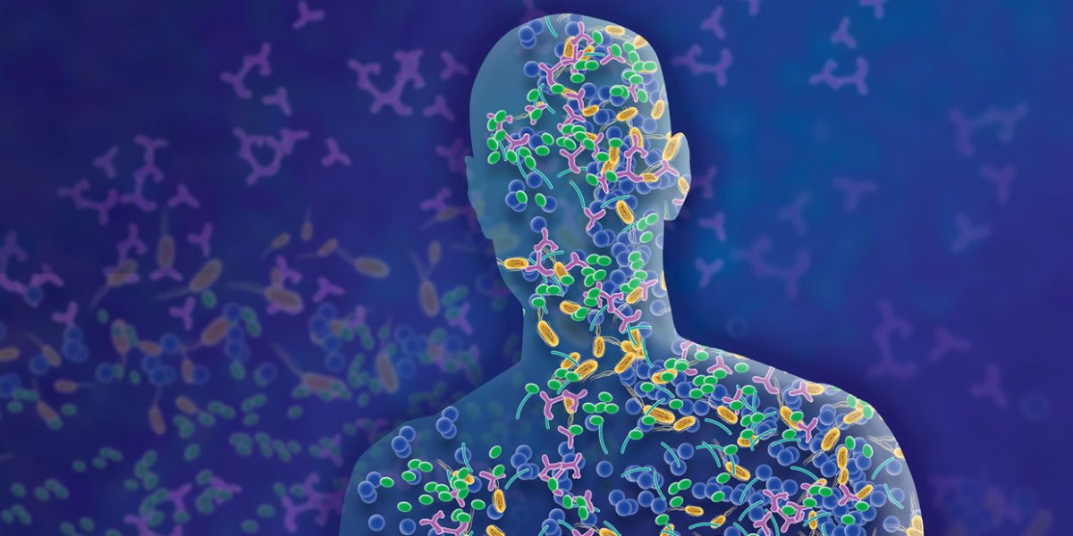 Невидимая угроза: Как антибиотики разрушают ваш организм помимо борьбы с инфекцией Невидимая угроза: Как антибиотики разрушают ваш организм помимо борьбы с инфекцией