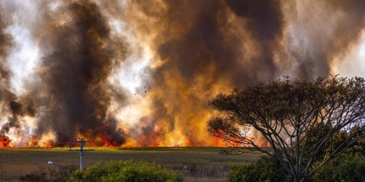 Аномальное тепло возвращается в Приморье: осень готовит неожиданный сюрприз