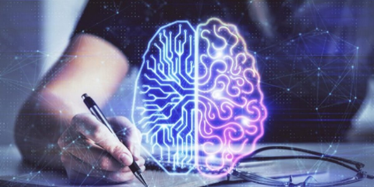 Топливо для интеллекта: какие продукты заставляют ваш мозг работать на полную мощность Топливо для интеллекта: какие продукты заставляют ваш мозг работать на полную мощность