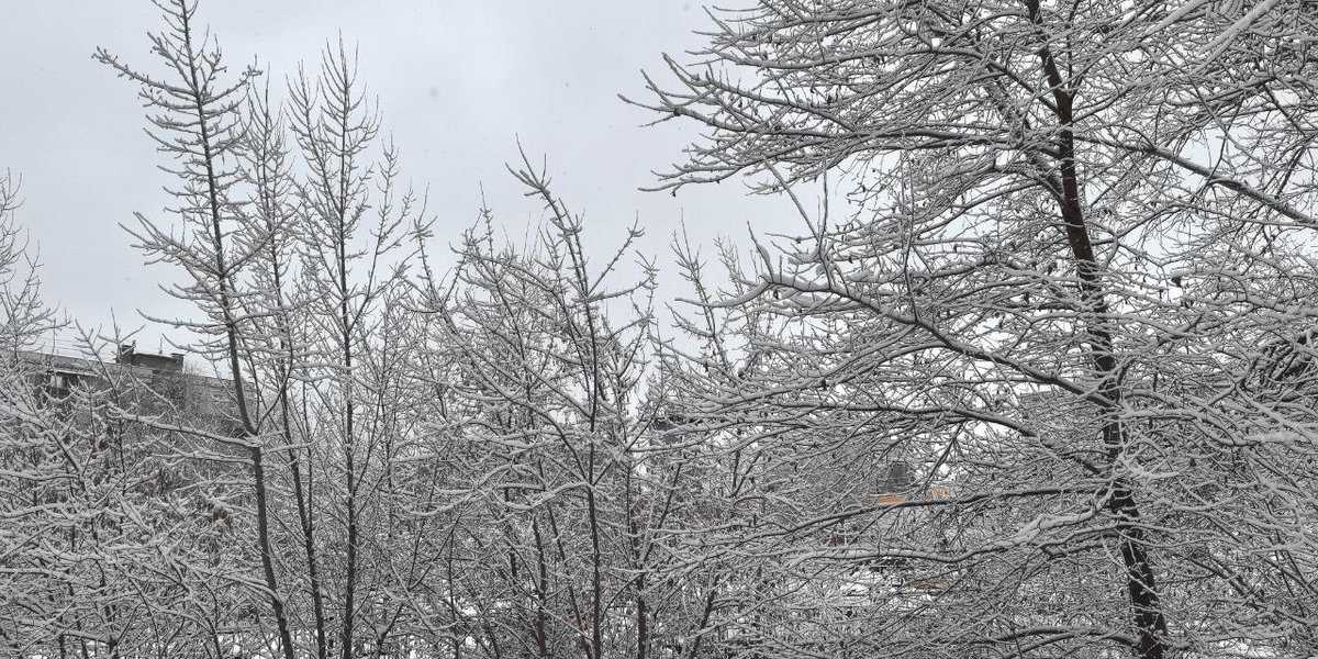 Москву ждет первый снег: синоптик Вильфанд назвал точную дату Москву ждет первый снег: синоптик Вильфанд назвал точную дату