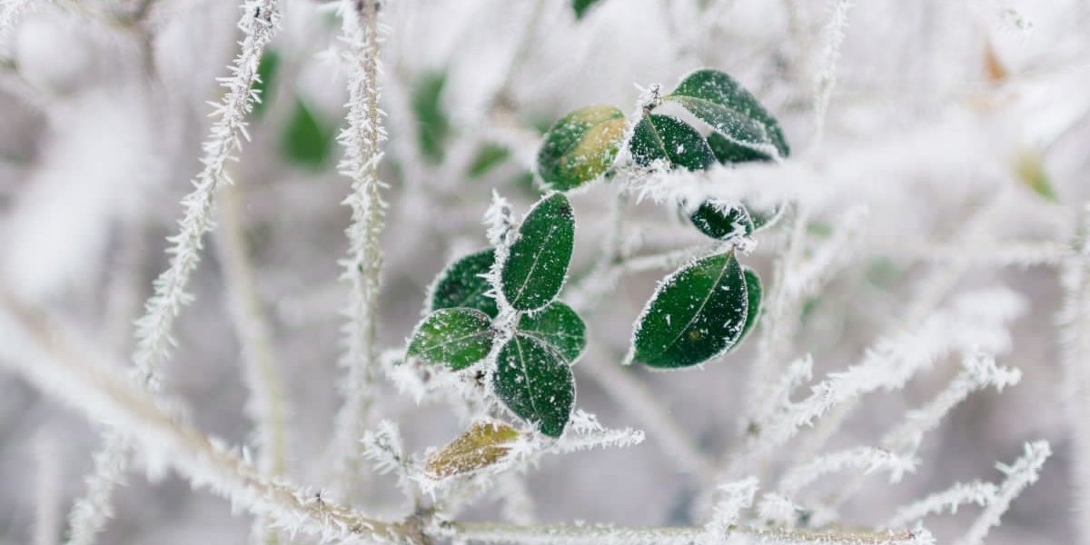 Какой будет зима по народным приметам на Евлампия Зимоуказателя 23 октября Какой будет зима по народным приметам на Евлампия Зимоуказателя 23 октября