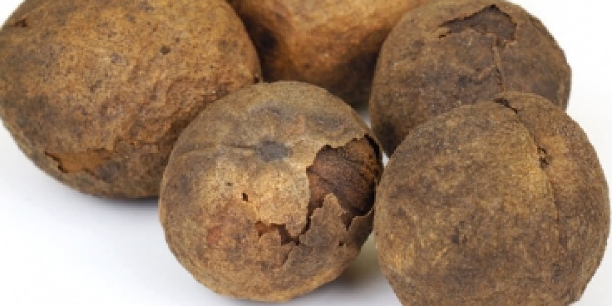 Тайное оружие Азии: как обычные грибы шиитаке помогают бороться с вирусами Тайное оружие Азии: как обычные грибы шиитаке помогают бороться с вирусами