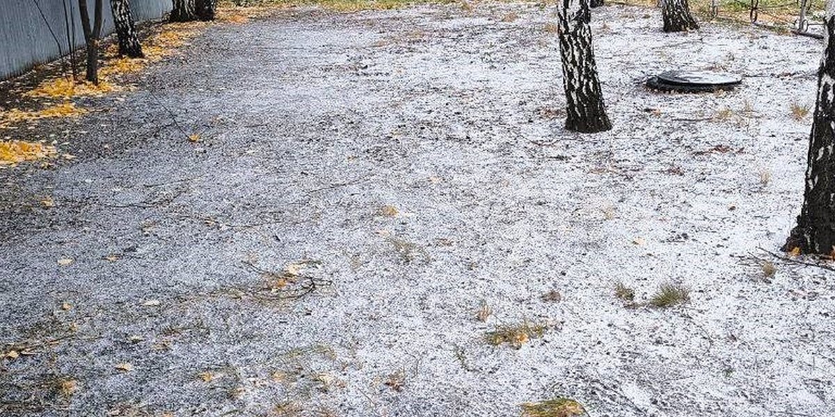 Первый снег Оренбуржья: как регион встретил зимний сезон Первый снег Оренбуржья: как регион встретил зимний сезон