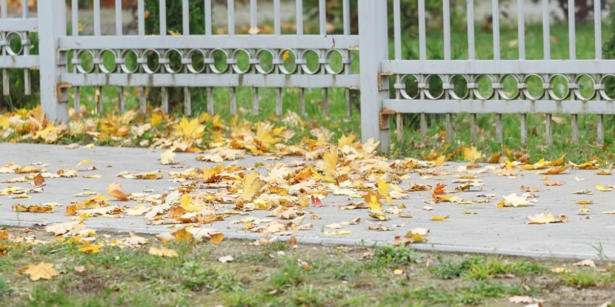 Аномальное потепление в России: что ждет европейскую часть страны в ближайшие дни Аномальное потепление в России: что ждет европейскую часть страны в ближайшие дни