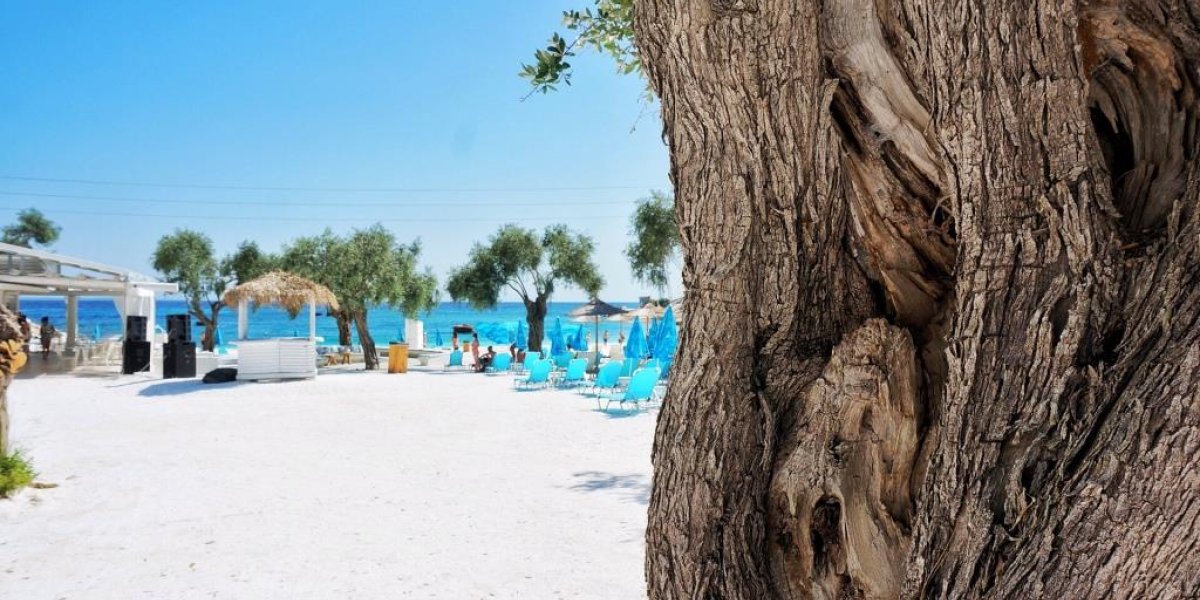 Российским туристам пришлось бежать с «райского» мальдивского острова Российским туристам пришлось бежать с «райского» мальдивского острова