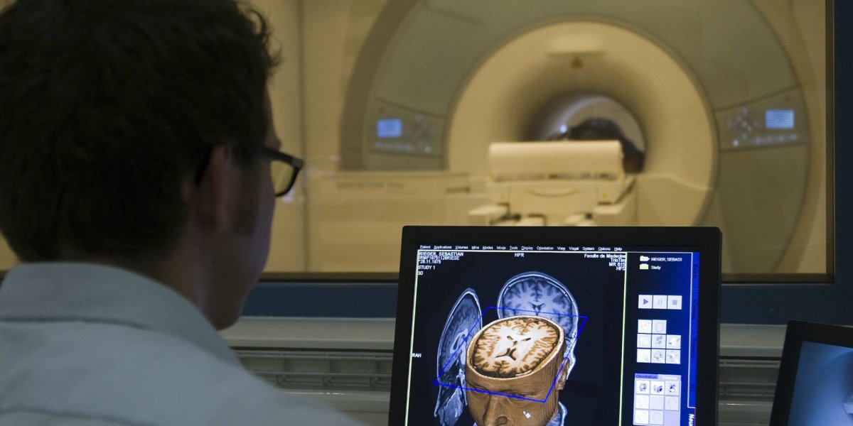 Паразиты в голове: врач назвала тревожные симптомы, которые легко спутать с другими болезнями Паразиты в голове: врач назвала тревожные симптомы, которые легко спутать с другими болезнями